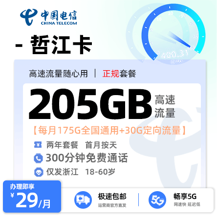 电信哲江卡【浙江专属】  29元/月享175G全国通用流量+30G定向流量+300分钟通话